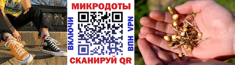 OMG   Фокино  Галлюциногенные грибы Magic Shrooms 